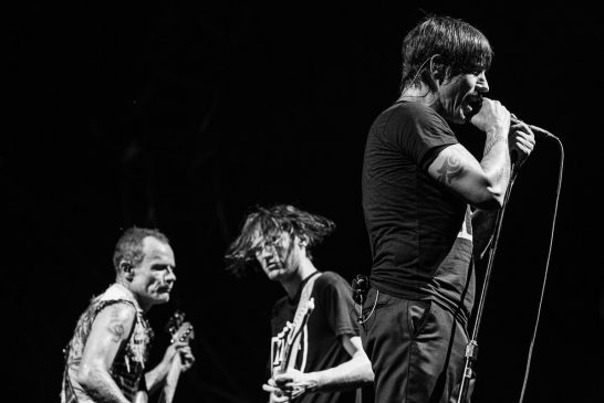 RHCP_8917 by Greg Noire