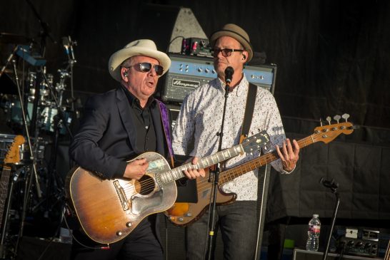 A List photos of Elvis Costello and Steelly Dan